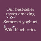 Little Freddie Blueberry &amp;amp; Banana with Greek Yoghurt Organic Pouch 6 mths+   100g