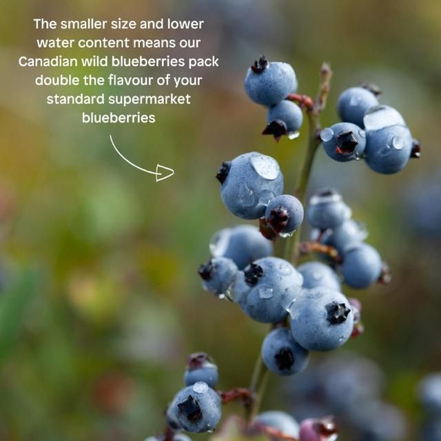 Little Freddie Blueberry &amp;amp; Banana with Greek Yoghurt Organic Pouch 6 mths+   100g