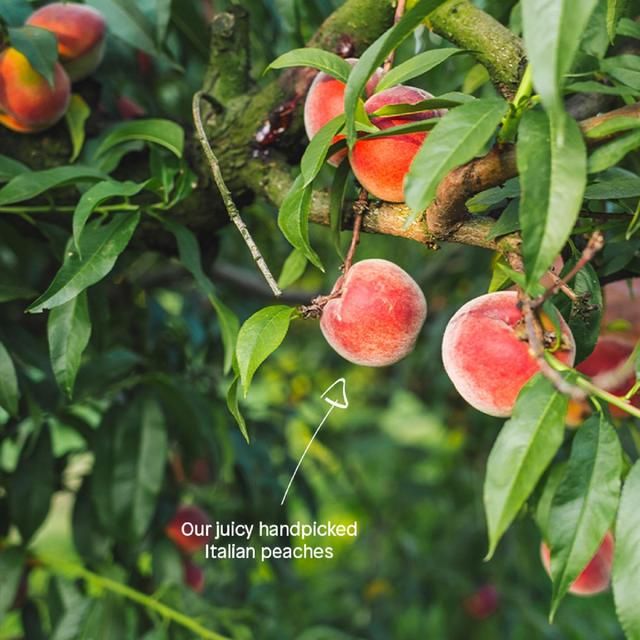 Little Freddie Peaches &amp;amp; Raspberries Pouch 6 mths+   100g