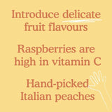 Little Freddie Peaches &amp;amp; Raspberries Pouch 6 mths+   100g