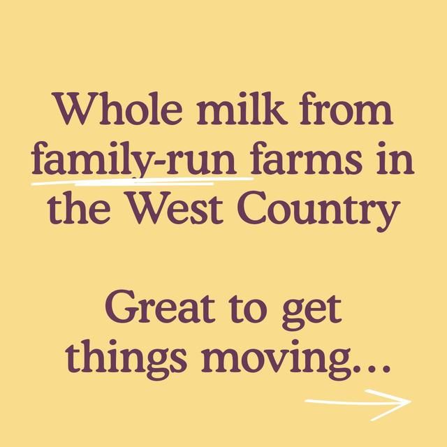 Little Freddie Prune Greek Style Yoghurt with Oats Organic Pouch 6 mths+   100g