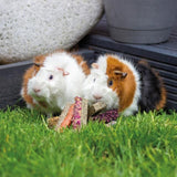 Luxury Flower Fruit &amp;amp; Veg Bars    7 per pack