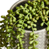 M&amp;amp;S Artificial String of Pearls in Ceramic Pot 16X38.1cm