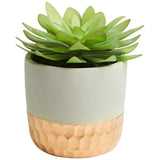 M&amp;amp;S Artificial Succulent in Metallic Pot 21X43.8cm