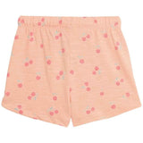 M&amp;amp;S Cotton 3pk Patterned Shorts 2-3Y    3 per pack