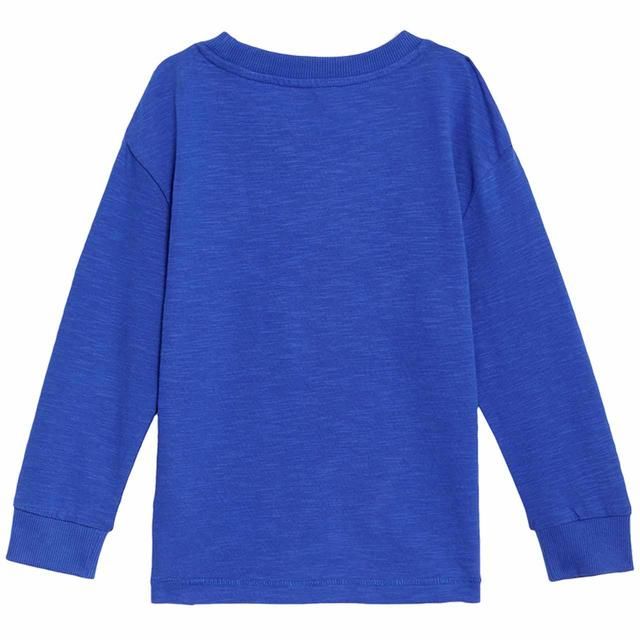 M&amp;amp;S Dino Graphic Top 2-7 Years Blue