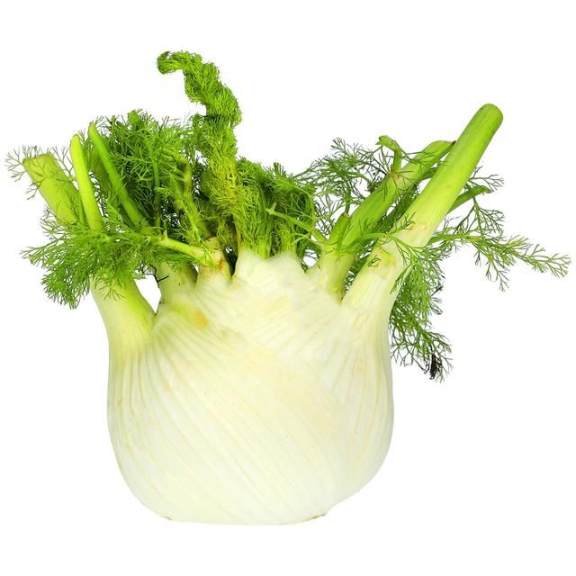 M&amp;amp;S Fennel