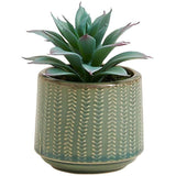 M&amp;amp;S Moss &amp;amp; Sweetpea Artificial Mini Succulent in Ceramic Pot Mint