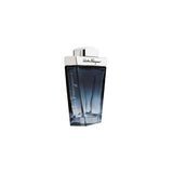 Salvatore Ferragamo Subtil Pour Homme EDT 100ml