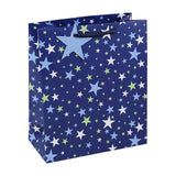 Eurowrap Stars Gift Bag (Pack of 12) (M)