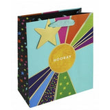 Eurowrap Hurray Colours Gift Bag (Pack of 6) (M)
