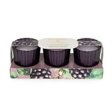 Candlelight Set of 3 Ribbed Mini Candles - Blackberry & Fig Tree