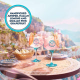 Malfy Rosa Pink Grapefruit Flavoured Gin