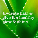 Maui Moisture Nourish &amp;amp; Moisture+ Coconut Milk Conditioner   385ml