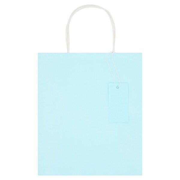 Medium Recyclable Kraft Gift Bag for All Occasions Blue
