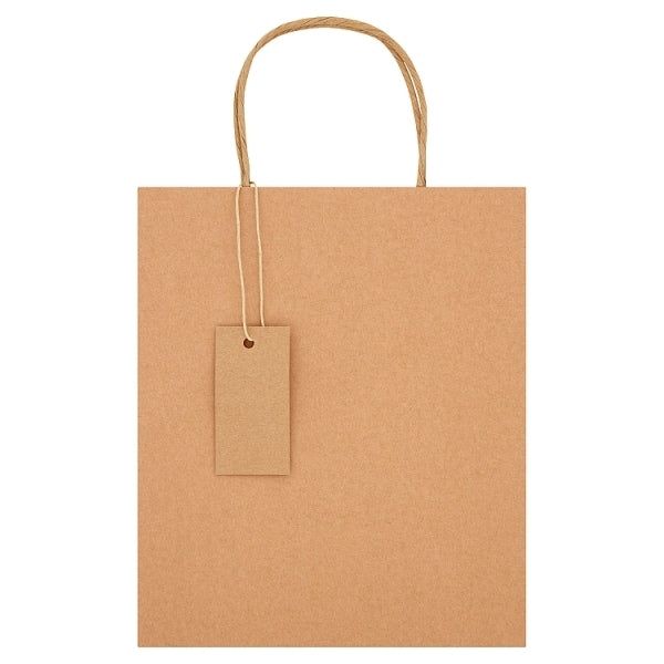 Medium Recyclable Kraft Gift Bag for All Occasions Kraft