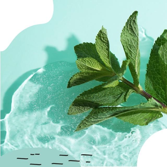 Miniml Toilet Cleaner - Spearmint &amp;amp; Peppermint   1L