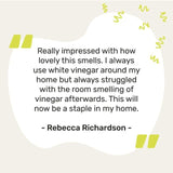 Miniml White Vinegar - Sorrento Lemon   5L