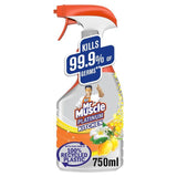 Mr Muscle Platinum Antibacterial Kitchen Spray Citrus   750ml