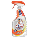Mr Muscle Platinum Antibacterial Kitchen Spray Citrus   750ml
