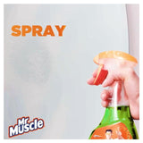 Mr Muscle Platinum Window &amp;amp; Glass Spray   750ml