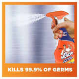 Mr Muscle Stainless Steel &amp;amp; Hob Cleaner   530ml