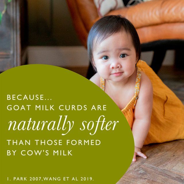 Nannycare 2 Follow on Goat Milk based Powder 6 mths+   900g