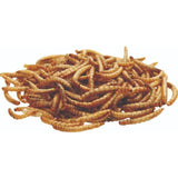 National Trust CJ Wildlife Dried Mealworms   250g