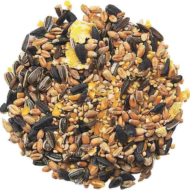 National Trust CJ Wildlife Garden Bird Table Seed   12.75kg