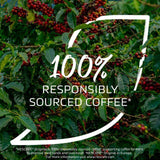 Nescafe Classic Decaf Jar   300g