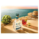 O'ndina Gin - Small Batch Super Premium Italian Gin   70cl