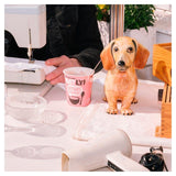 Oatly Oatgurt Strawberry   400g