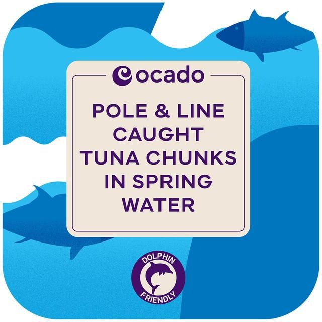 Ocado Pole &amp;amp; Line Caught Tuna Chunks in Spring Water   4 x 160g