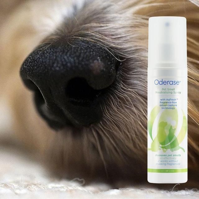 Oderase Pet Smell Neutralising Spray   200ml