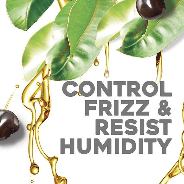 OGX Hydrate &amp;amp; Defrizz+ Kukui Oil Conditioner 385ml