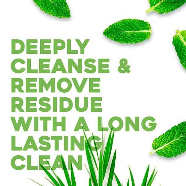 OGX Refreshing Scalp+ Teatree Mint Conditioner 385ml