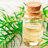 OGX Refreshing Scalp+ Teatree Mint Extra Strength Conditioner   385ml