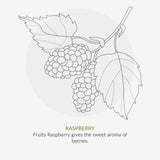 Organic Children Berry Smoothie Conditioner    200ml