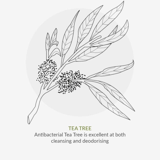 Organic Children Lavender Shampoo    220ml