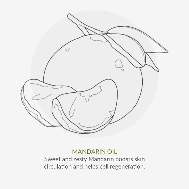 Organic Children Mandarin &amp;amp; Aloe Vera Fluoride Free Toothpaste   50ml