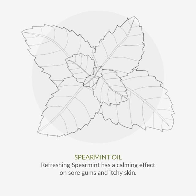 Organic Children Spearmint &amp;amp; Aloe Vera Fluoride Free Toothpaste   50ml