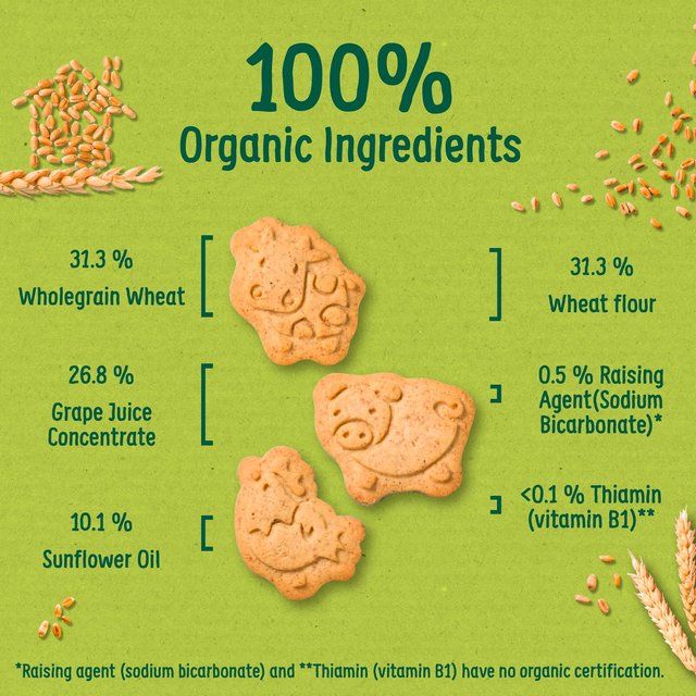 Organix Farm Animal Biscuits 12 mths Value Box   100g