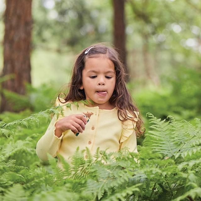 Organix KIDS Marvellous Mandarin &amp;amp; Apple Organic Oat Snack Bars Multi   6 x 23g