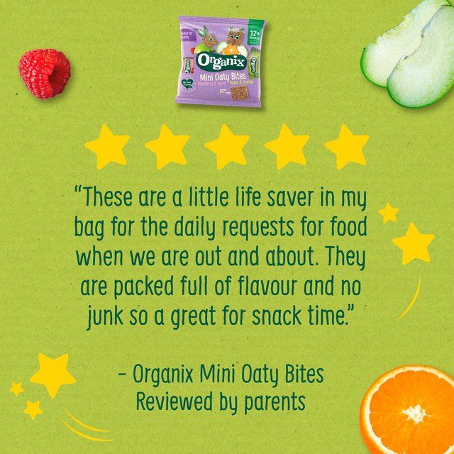 Organix Mini Organic Oaty Toddler Snack Bar Bites   110g