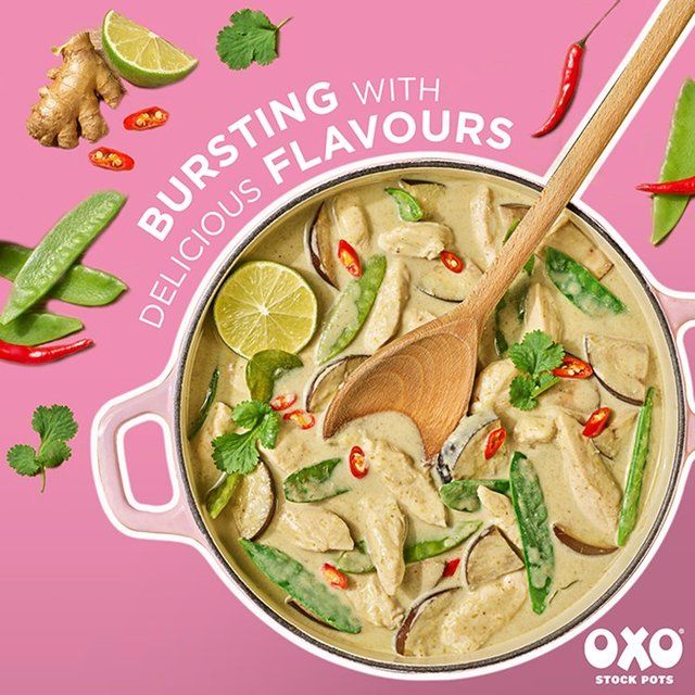 Oxo Aromatic Asian Stock Pots   4 x 20g