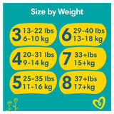 Pampers Baby-Dry Nappies Size 4 (9-14kg) Essential Pack   44 per pack
