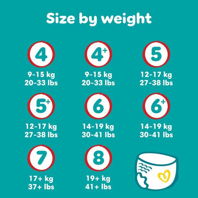 Pampers Baby Dry Nappy Pants Size 8 Essential Pack   22 per pack