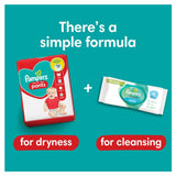 Pampers Baby Dry Pants Size 8, 44 Pack