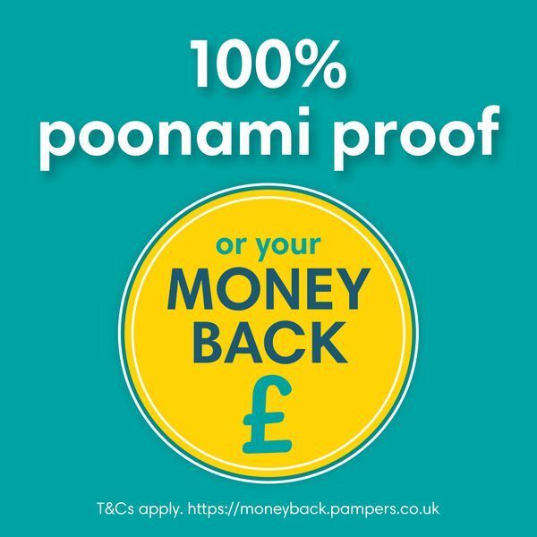 Pampers Baby-Dry Size 4 Nappies Carry Pack x25