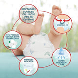 Pampers Harmonie Nappies Pants Size 4 Essential Pack   22 per pack